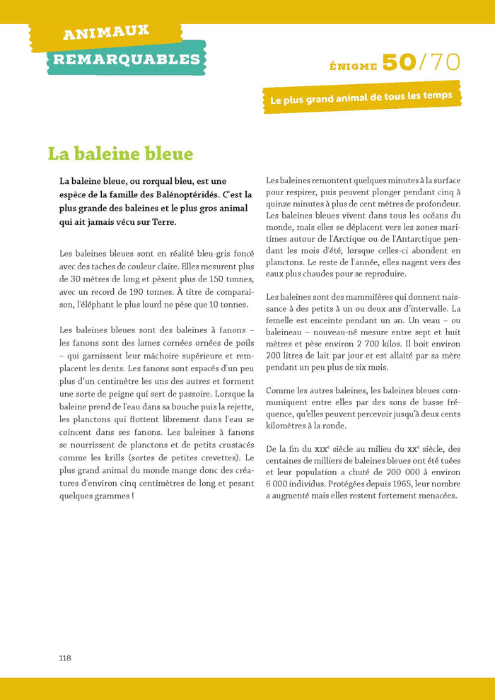 Une énigme par jour - Grej of the day - Cycle 3