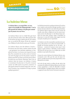 Une énigme par jour - Grej of the day - Cycle 3