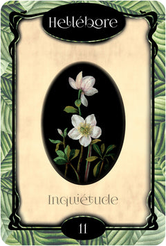 L'oracle des fleurs