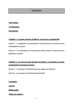 Les aménagements aux peines privatives de liberté