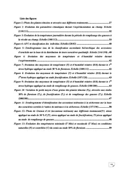 Caractérisation Morphologique d'Arachide sous un Déficit Hydrique