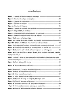 Activités biologiques de Lavandula stoechas et Rosmarinus officinalis