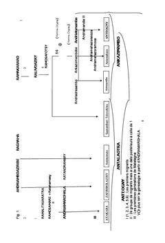 La dynastie d'Andriatomambe
