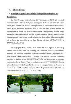 La Flore de Madagascar