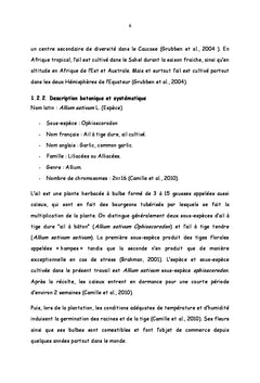 Etude Comparative du Rendement d'Allium Sativum L. (AIL)