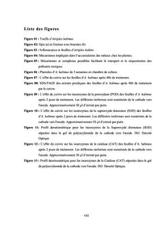 Stress du cuivre sur Atriplex halimus