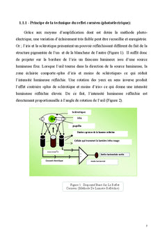 Enregistrement visuel par modele des voyelles sur le texte en arabe