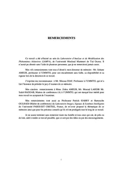 Métaheuristiques pour la classification non supervisée
