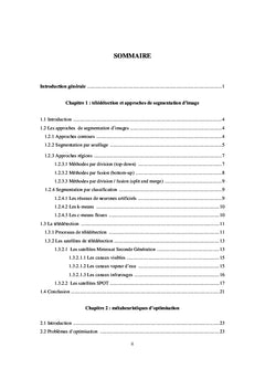 Métaheuristiques pour la classification non supervisée