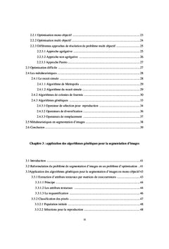 Métaheuristiques pour la classification non supervisée