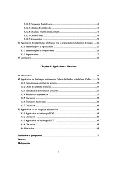 Métaheuristiques pour la classification non supervisée