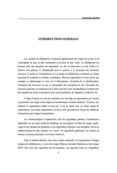 Métaheuristiques pour la classification non supervisée