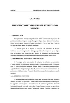 Métaheuristiques pour la classification non supervisée