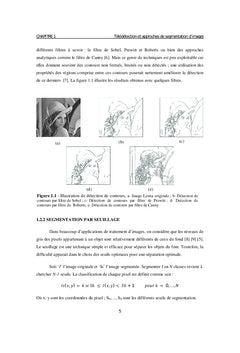 Métaheuristiques pour la classification non supervisée