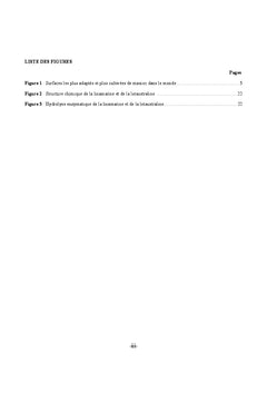 Le manioc