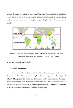 Le manioc