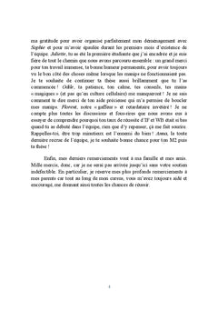 Dynamique de la chromatine en réponse aux dommages de l'ADN