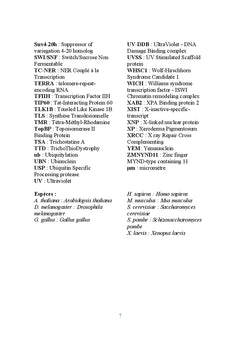 Dynamique de la chromatine en réponse aux dommages de l'ADN