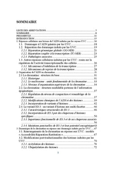 Dynamique de la chromatine en réponse aux dommages de l'ADN