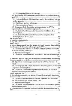 Dynamique de la chromatine en réponse aux dommages de l'ADN