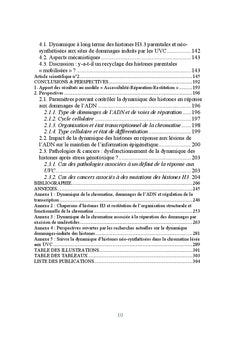 Dynamique de la chromatine en réponse aux dommages de l'ADN