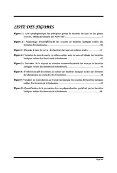 Evaluation des propriétés probiotiques des bactéries lactiques