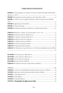 Sédimentologie de faciès-Palynologie
