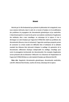 Une modélisation des discontinuités géométriques et/ou matérielles