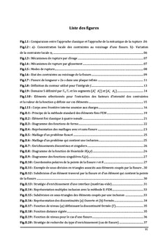 Une modélisation des discontinuités géométriques et/ou matérielles