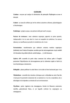 Etude microbiologique du fruit de "Tapia" ou "Uapaca bojeri" de Madagascar