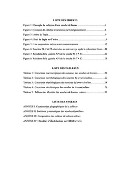 Etude microbiologique du fruit de "Tapia" ou "Uapaca bojeri" de Madagascar