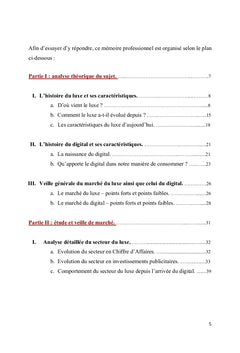 Les enjeux des marques de luxe à l'ère du digital