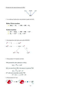 Cours de Radicaux Libres et Stress Oxydant