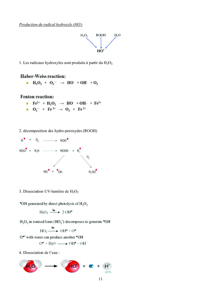 Cours de Radicaux Libres et Stress Oxydant