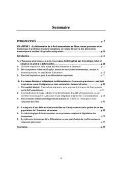 La conservation de l'Amazonie au Perou : quels enjeux ?