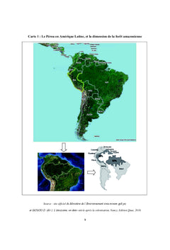 La conservation de l'Amazonie au Perou : quels enjeux ?