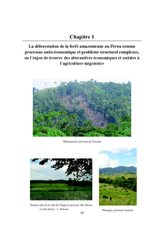 La conservation de l'Amazonie au Perou : quels enjeux ?