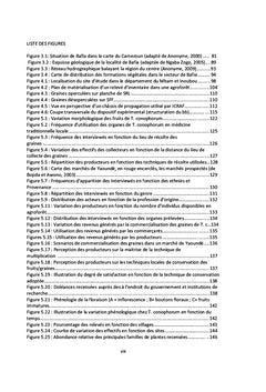Gestion durable de Tetracarpidium conophorum dans le bassin du Congo