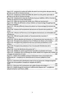 Gestion durable de Tetracarpidium conophorum dans le bassin du Congo
