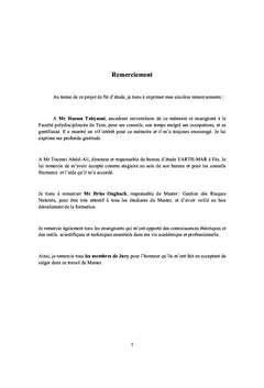 Cartographie Erosion Hydrique Bassin Versant Oued Taza (PAP/CAR)