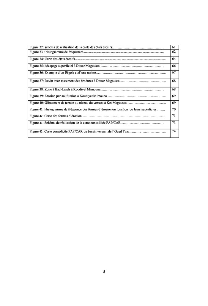 Cartographie Erosion Hydrique Bassin Versant Oued Taza (PAP/CAR)