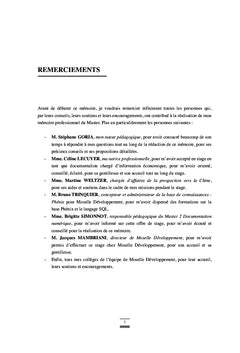 Representation de l'Intelligence economique - la France et la Chine