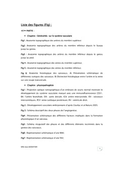 Les Malformations Artério-Veineuses des Membres