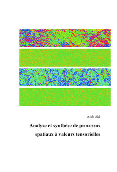 Analyse et synthèse de processus spatiaux à valeurs tensorielles