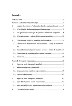 Le système d'information hospitalier entre culture et usages