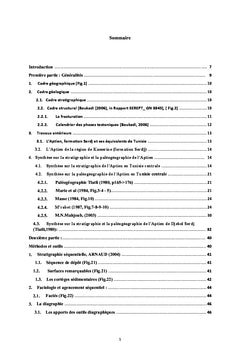 Microbiostratigraphie, sédimentologie de la formation Serdj