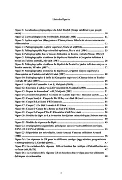 Microbiostratigraphie, sédimentologie de la formation Serdj