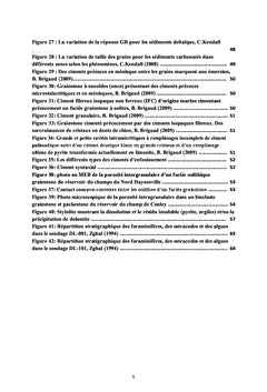 Microbiostratigraphie, sédimentologie de la formation Serdj