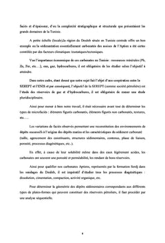 Microbiostratigraphie, sédimentologie de la formation Serdj