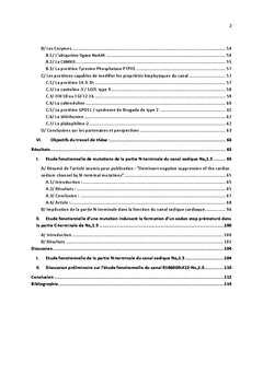 Le complexe du canal sodique cardiaque Nav1.5